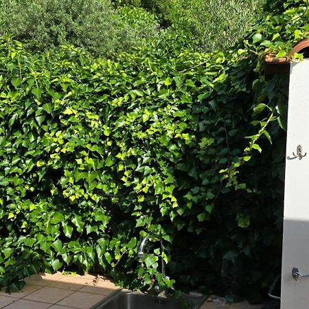 Villa Margherita Maratea Eksteriør billede